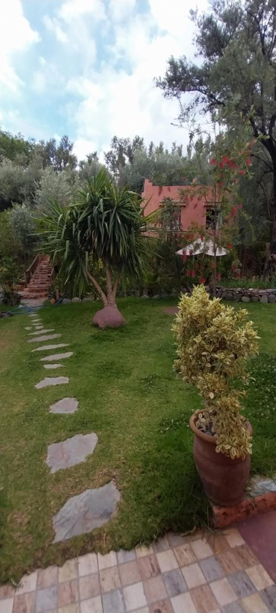 Auberge Le Mouflon Ouirgane Habitación foto